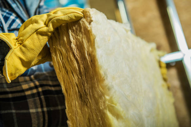 Best Insulation Maintenance and Repair in Nikiski, AK