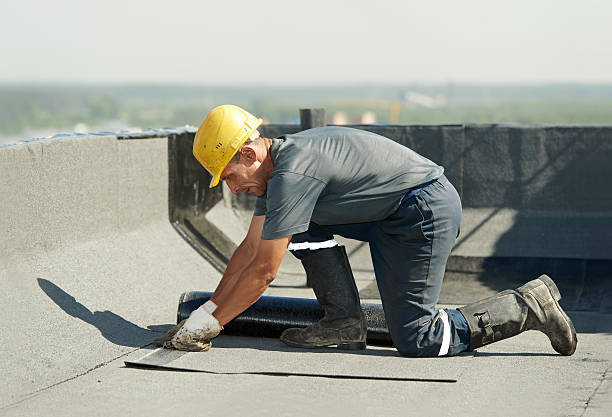Best Eco-Friendly Insulation in Nikiski, AK